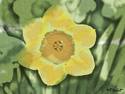 A Not Monet Daffodil =o)