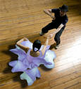 Purple Iris Dancer