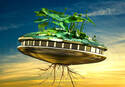 Mars Lilycraft 