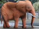 Elephantitis: new breed
