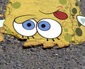 Sponge Bob Splat Pants