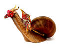 A Snail's Costume
