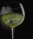 Swamp Water Wine