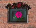 Rose Wall Painting