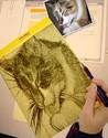 Drawing kitty