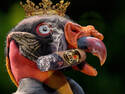 Smokin' King