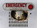 Its an emergency!!