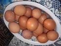 australian eggs
