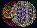 Flower of Life