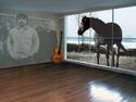 room with horse