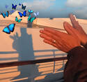 The butterfly spell