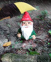 Wet Gnome