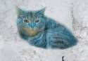 Frozen kitty