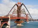 Golden Gate Lobsters