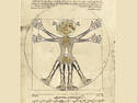 Da Vinci s alien anatomy
