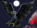  ~ Night Owl ~