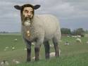 Saddam In Sheep Clothing