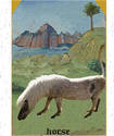 Medieval Pony