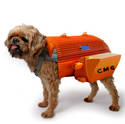 CMG Dog Pack 2012
