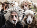 the Tups