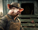 Payback... Oink Oink