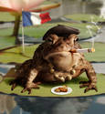 Le Froggie...