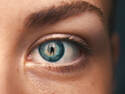 Eye Spy