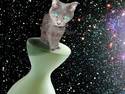 Greycat in Space 3