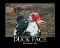 The DuckFace Original 