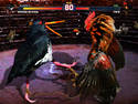 Cock Fighter 2