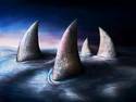 Stone Sharks