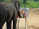 Painter elephant