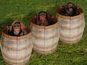 Barrel(s) of Monkeys