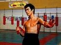 The Great Bruce Lee