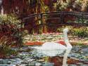 Monet's swan