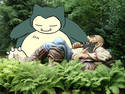 A Man and his Snorlax