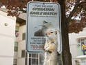 Operation Squirrel Watch