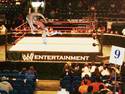 WWE wrestling