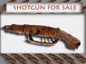 shotgun for sale
