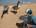 AFLAC COMMERCIAL