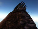 Eagle Airlines (NEW)