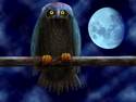~ Blue moon bird ~