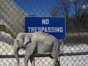 Trespassing Anyway..