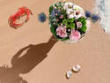 Bonnet at the Beach