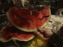 rotten watermelon