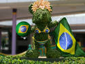 A Brazillian Bush!