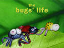 The Bugs' Life