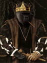 King Bokito