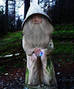 Wizard Dwarf