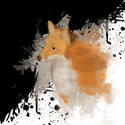 the painted fox